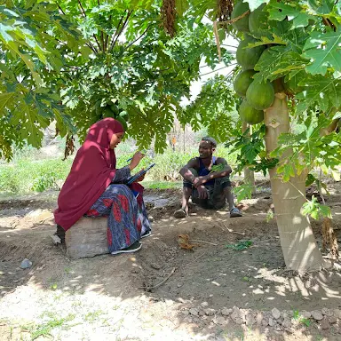 Somaliland Agriculture Productivity Enhancement Programme.png